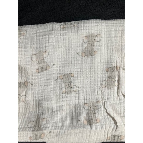 Aden & Anais Gauze Receiving Blankets - Picture 4 of 4